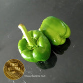 Pimiento verde orgánico (1pza)